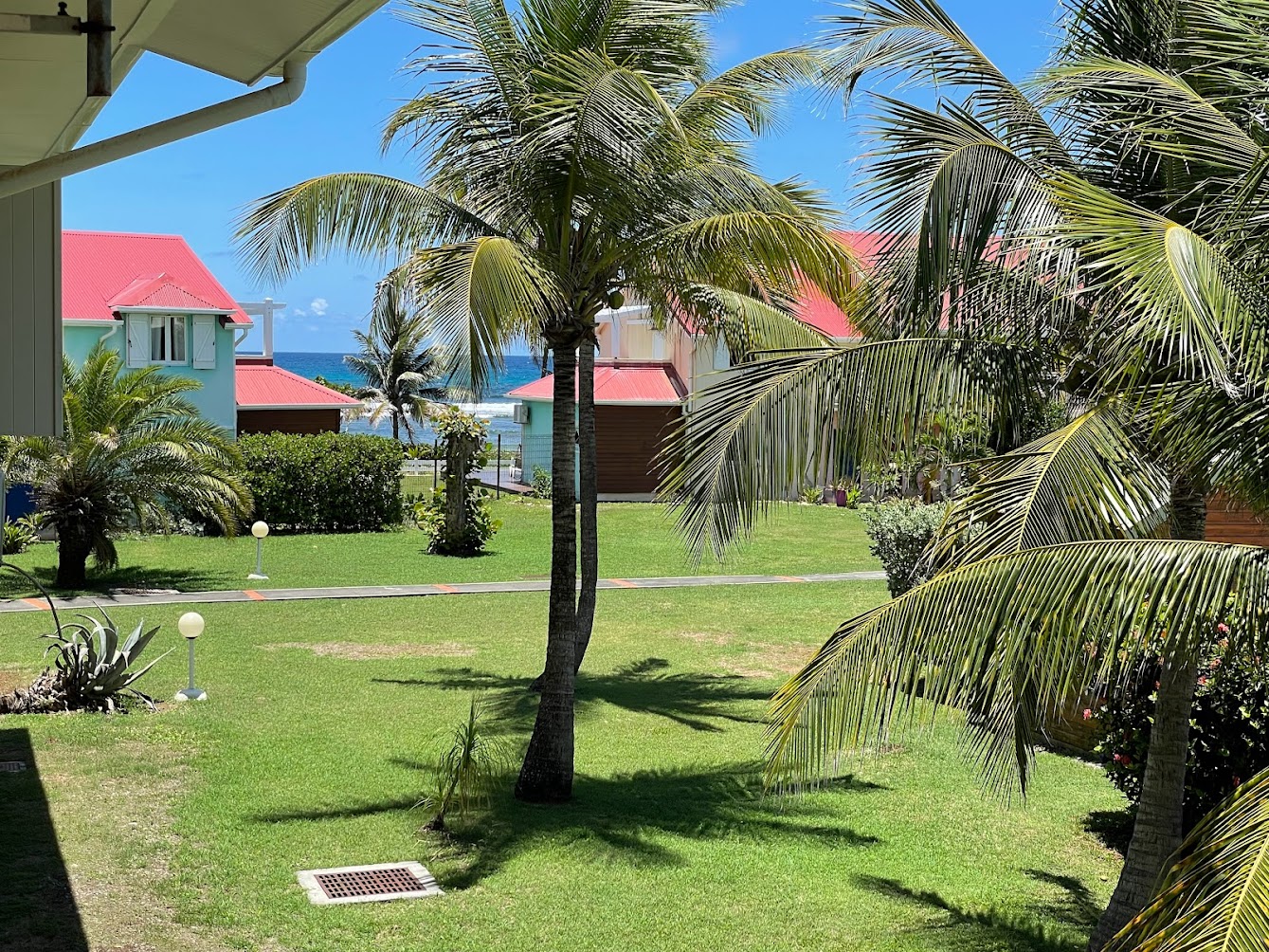 View of the palm trees and sea from the T2
